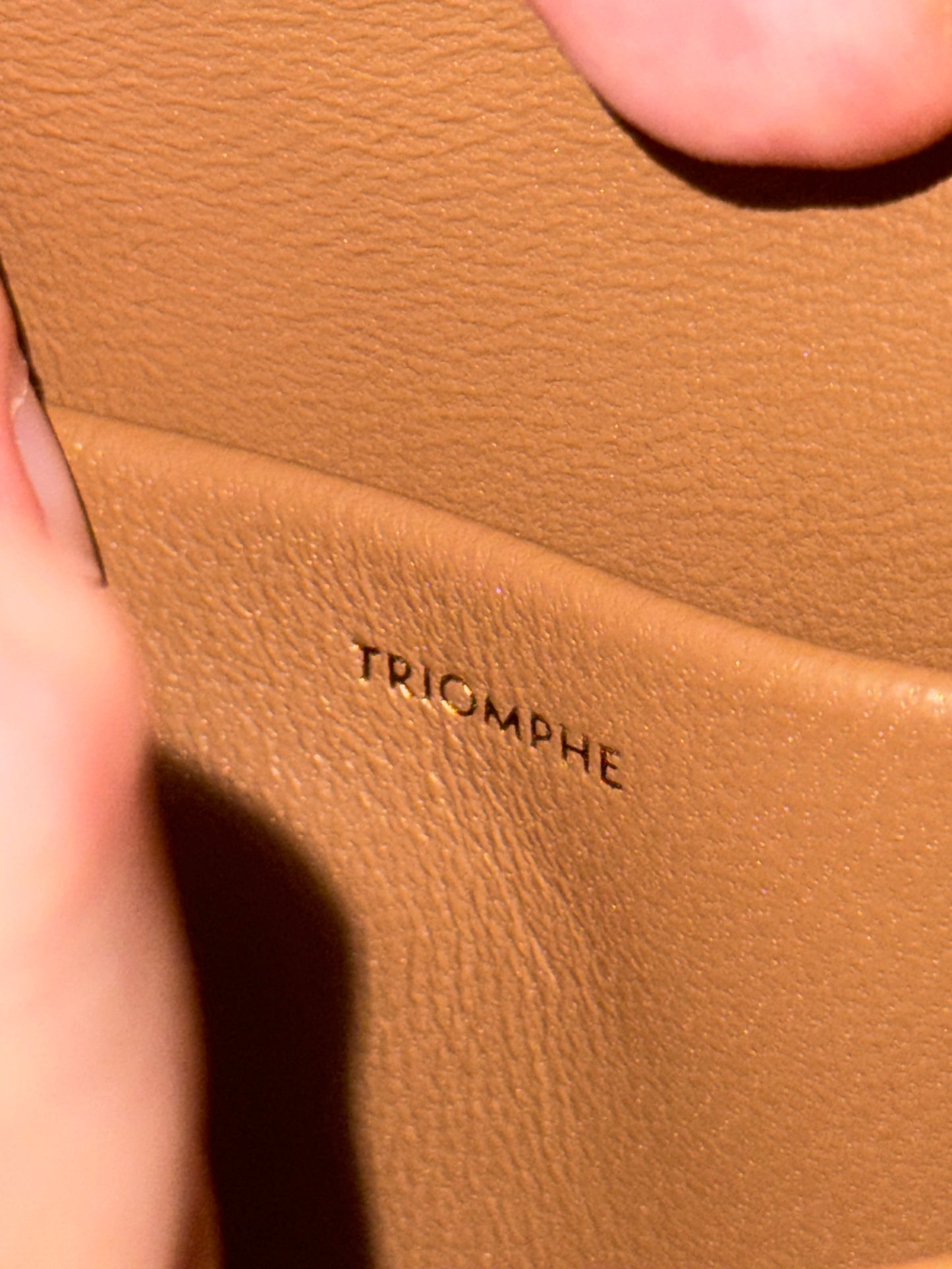 CELINE DARK BEIGE TEEN TRIOMPHE CROSSBODY BAG