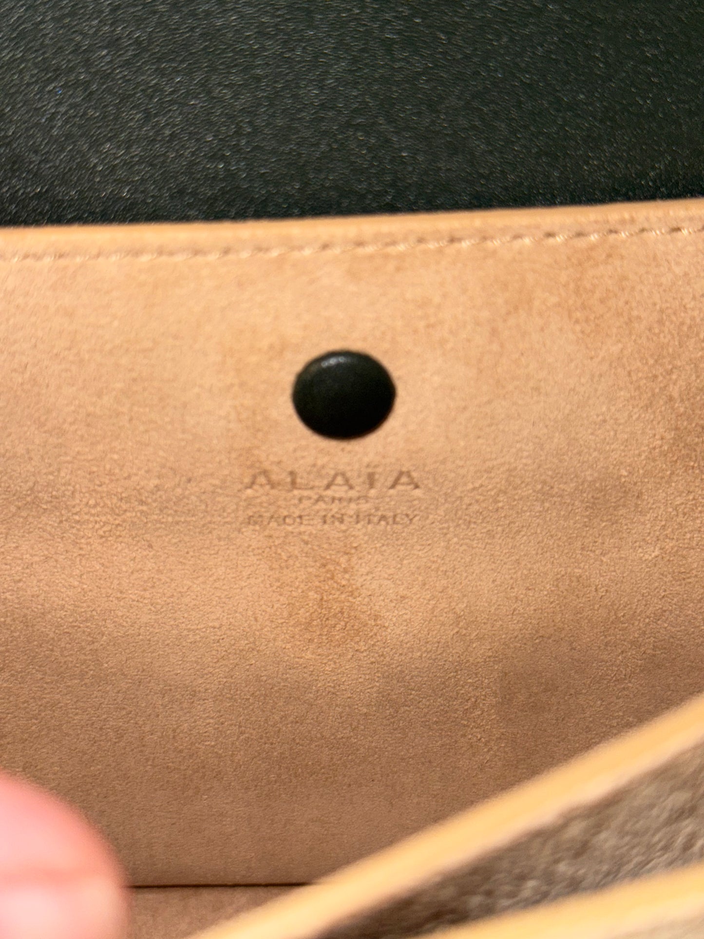ALAIA GREEN LE PAPA CROSSBODY BAG
