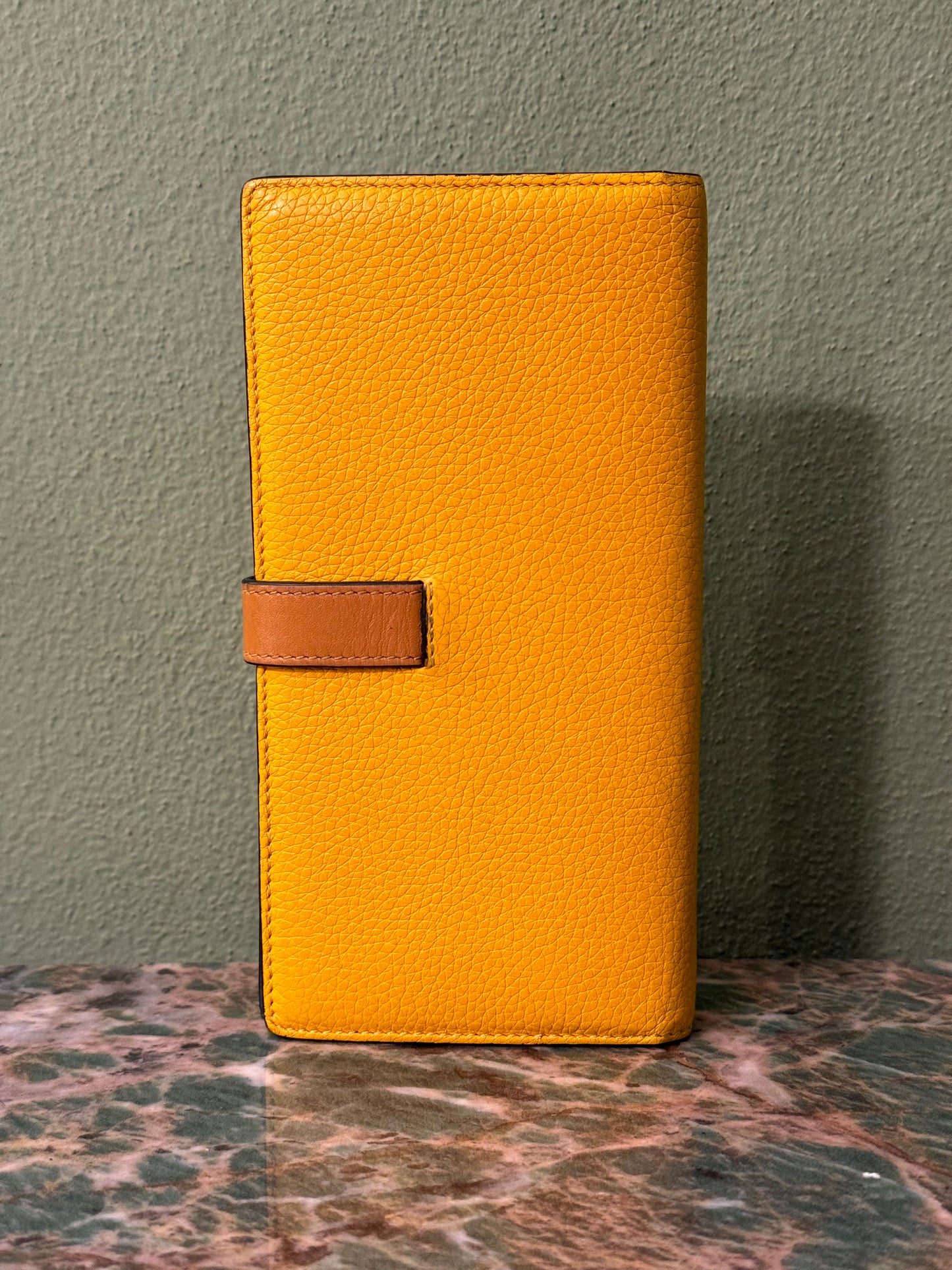 LOEWE TRI COLOR LARGE VERTICAL WALLET