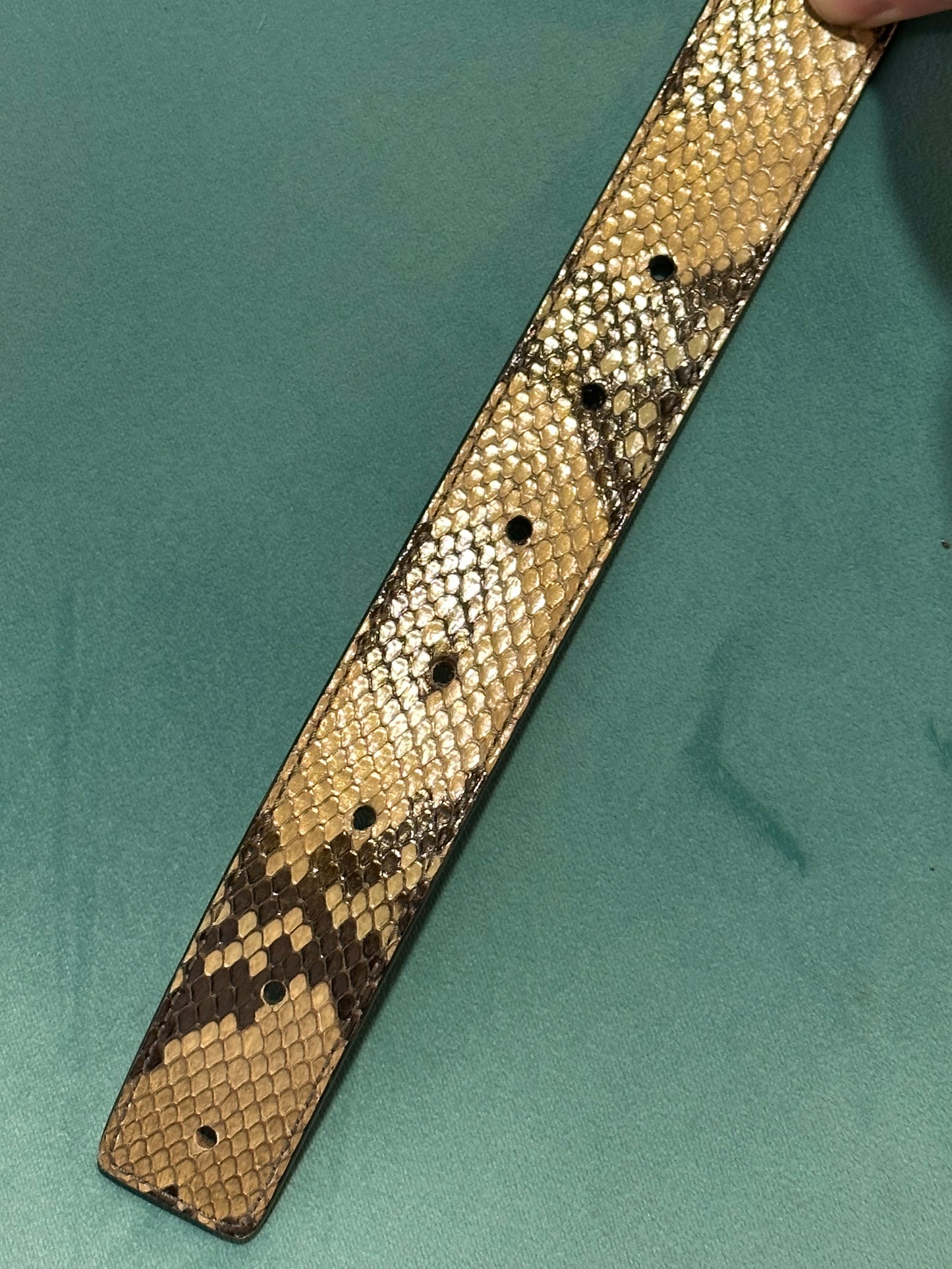 GUCCI PYTHON BELT