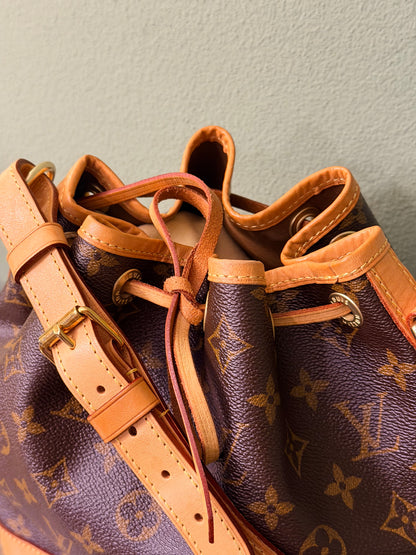 LOUIS VUITTON MONOGRAM NOE BB BUCKET BAG
