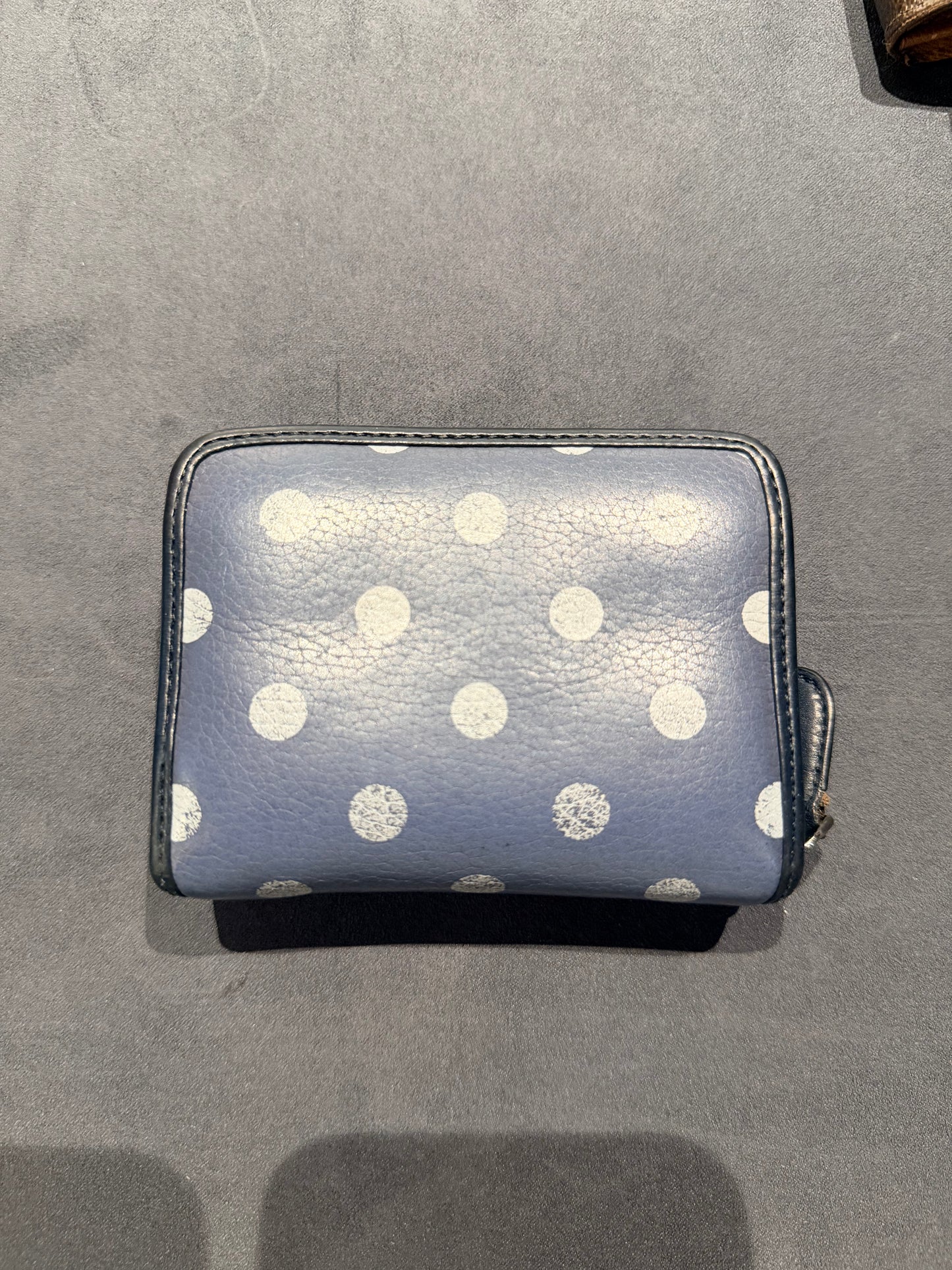 LOEWE NAVY POLKA DOTS SMALL CRUZ ZIPPY WALLET