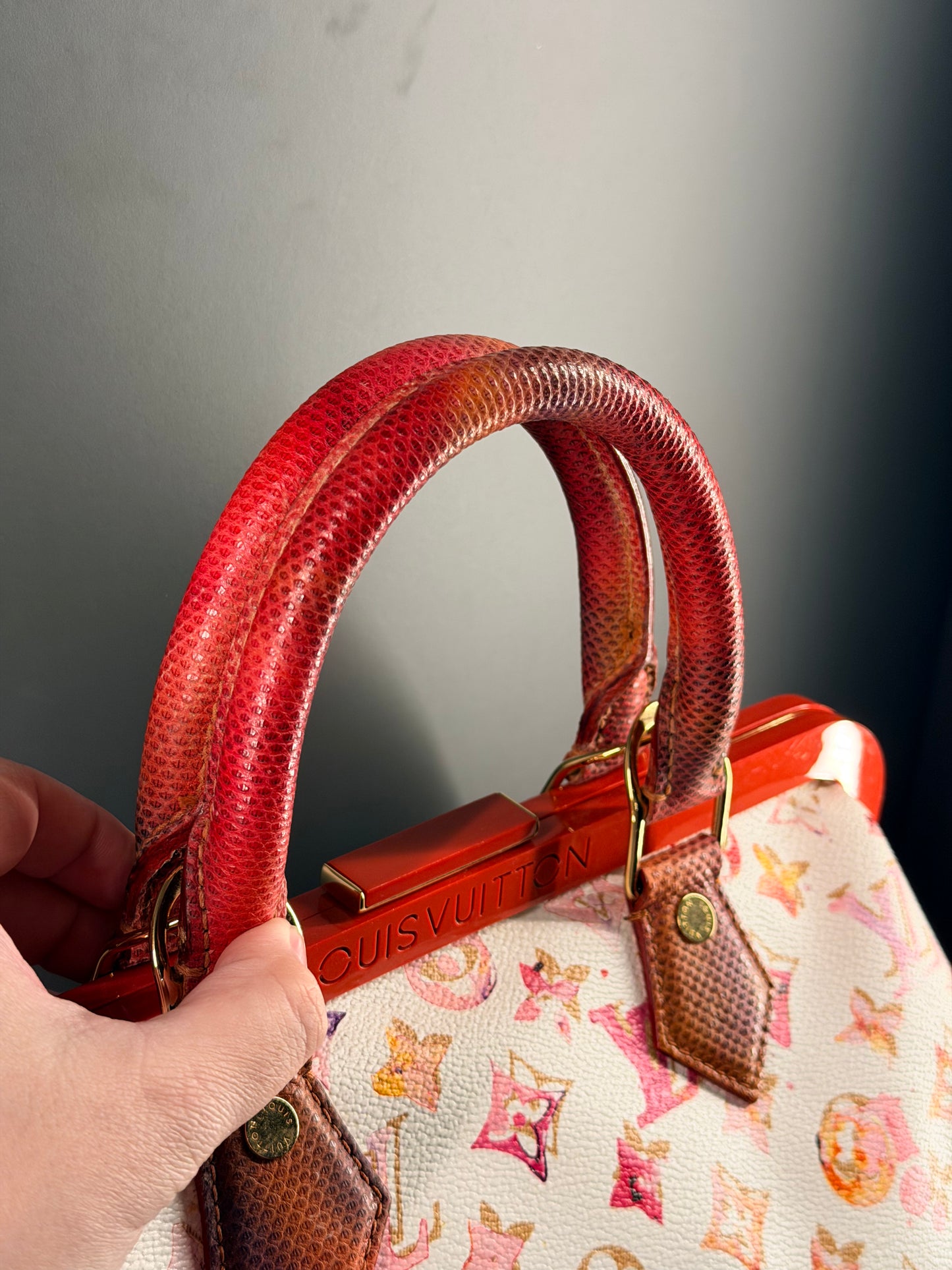RICHARD PRINCE x LOUIS VUITTON WATERCOLOR LIZARD TRIM SPEEDY FRAME HANDBAG