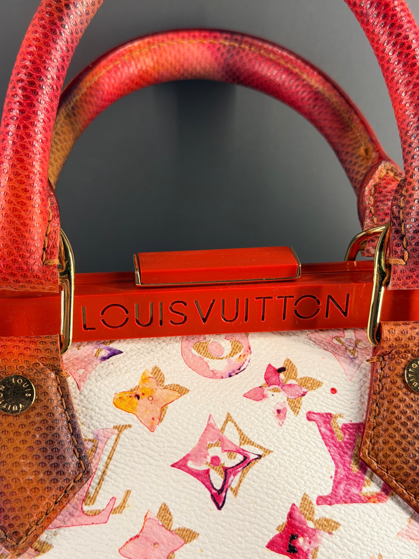 RICHARD PRINCE x LOUIS VUITTON WATERCOLOR LIZARD TRIM SPEEDY FRAME HANDBAG
