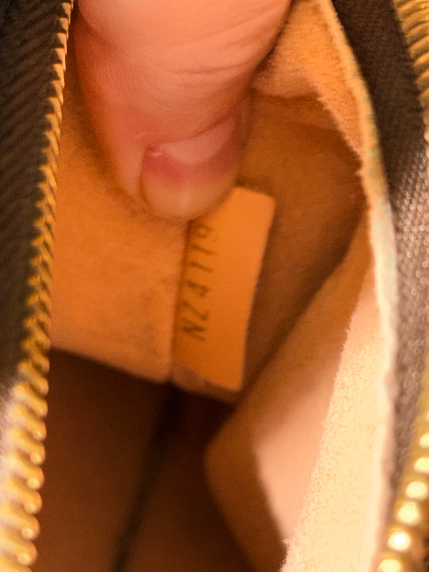 LOUIS VUITTON DAMIER EBENE NEO NOE BUCKET BAG