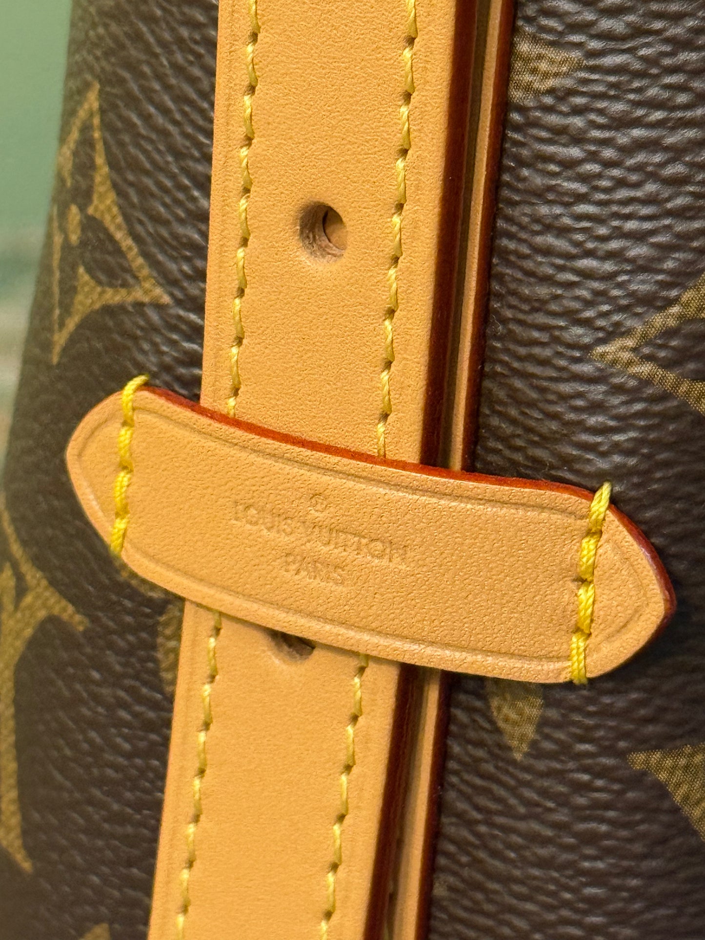 LOUIS VUITTON MONOGRAM CARRYALL PM SHOULDER BAG
