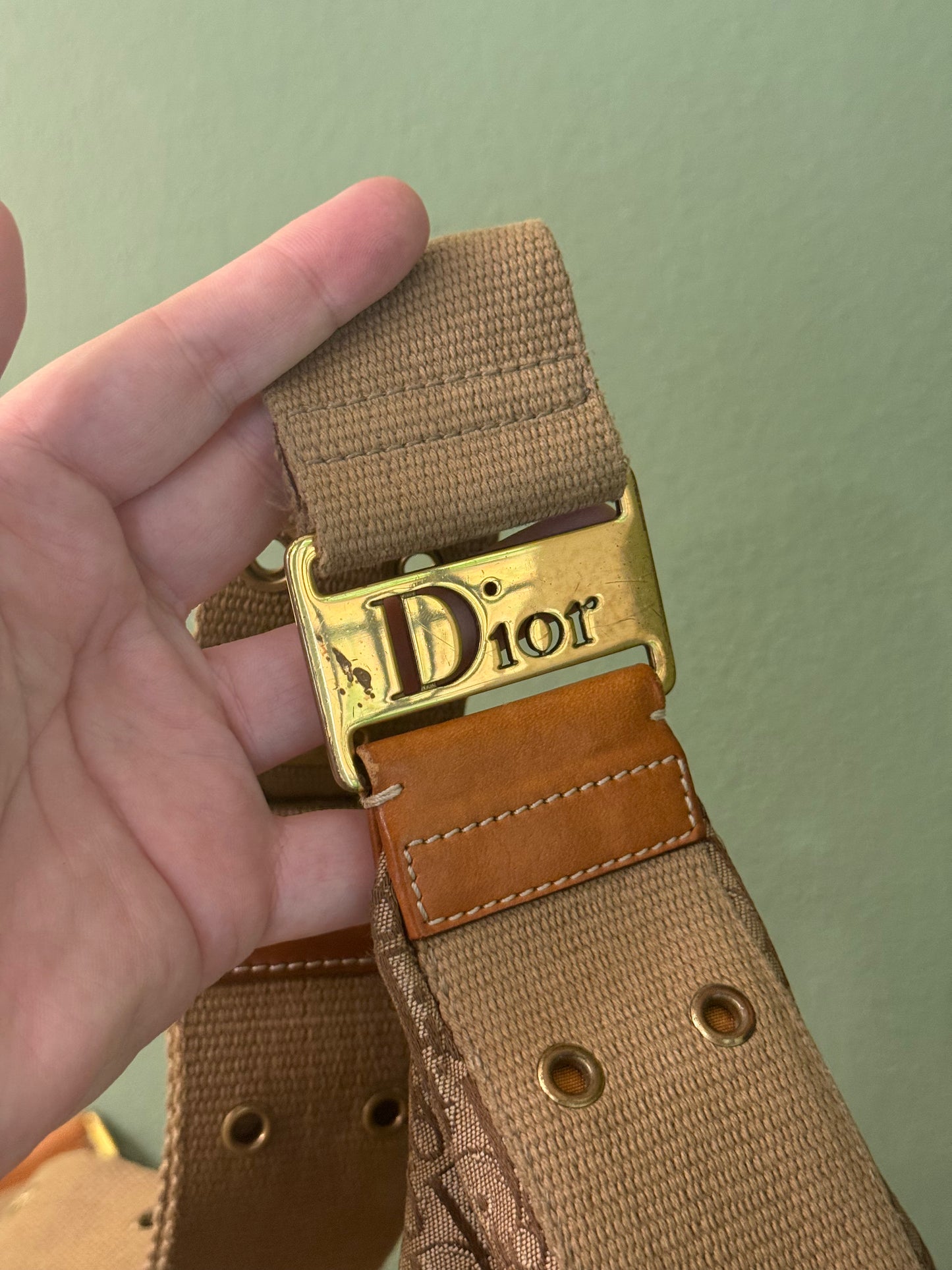DIOR BEIGE OBLIQUE HALF MOON STREET CHIC CROSSBODY BAG
