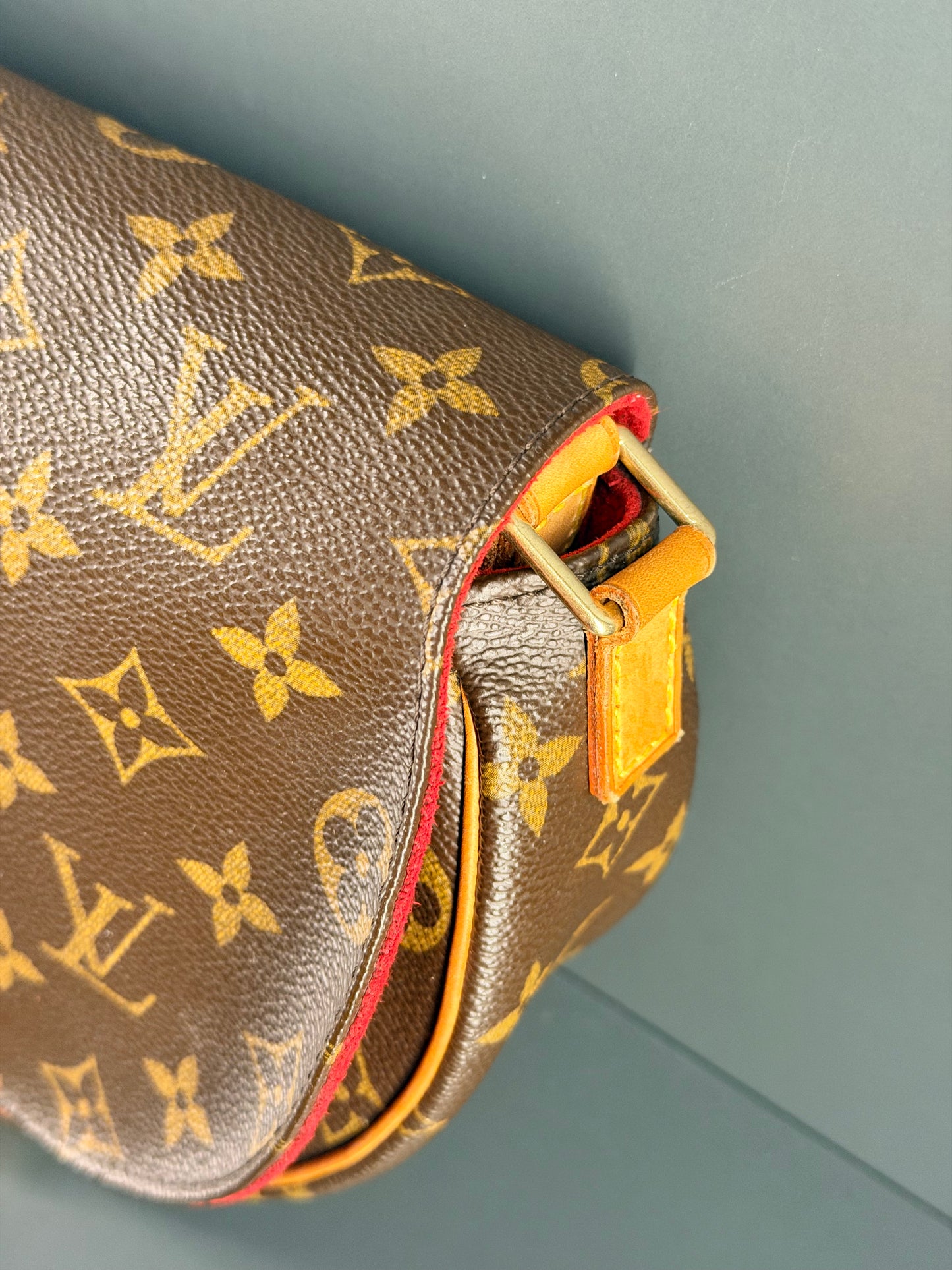 LOUIS VUITTON MONOGRAM TAMBOURINE CROSSBODY BAG