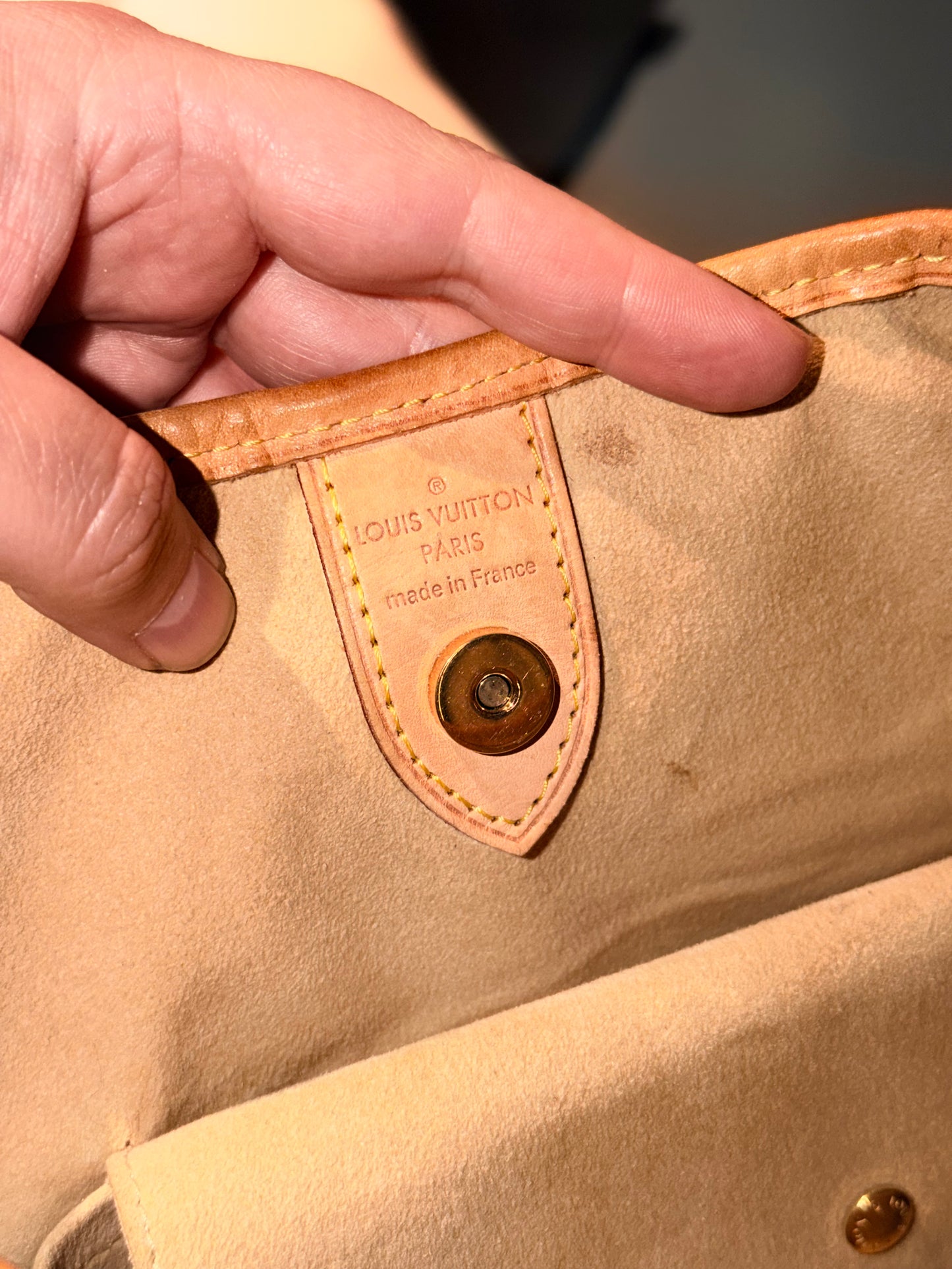 LOUIS VUITTON MONOGRAM GALLIERA PM HOBO BAG